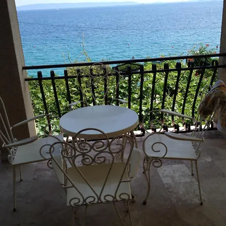 Margarita * Seget Vranjica