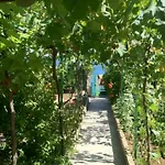 Margarita * Сегет-Враница