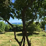 Margarita *