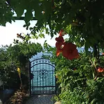 Margarita Дом отдыха Сегет-Враница