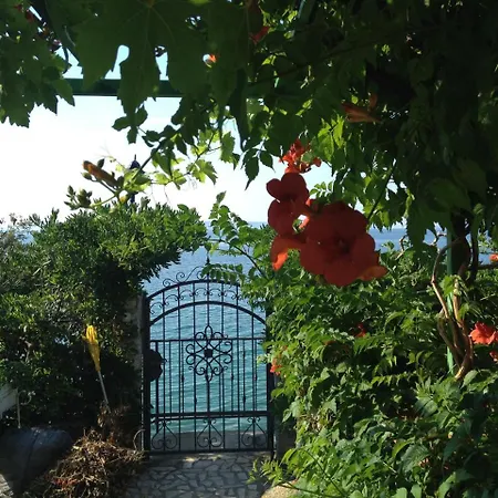 Margarita Hébergement de vacances Seget Vranjica